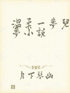 温柔一梦儿媳林梦小说