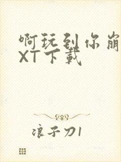 啊玩到你崩溃TXT下载