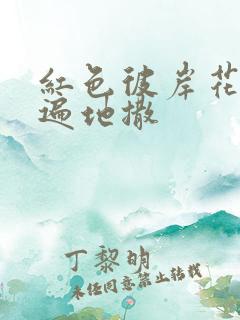 红色彼岸花花瓣遍地撒