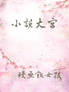 小说大宫