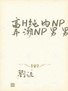 高H纯肉NP 弄潮NP男男