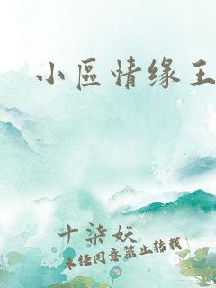 小区情缘王丽萍