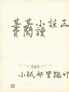 某某小说正版免费阅读