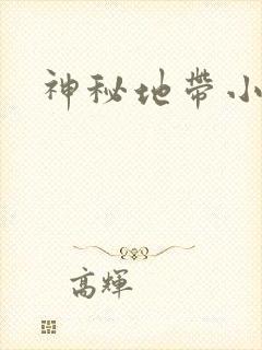 神秘地带小说