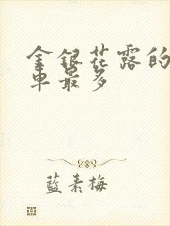 金银花露的哪个车最多