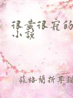 很黄很宠的总裁小说