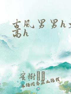古风男男h文肉高h