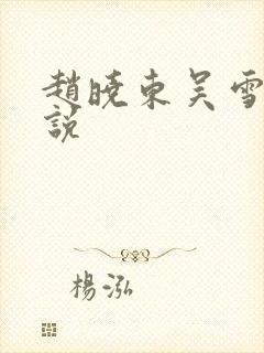 赵晓东吴雪晴小说