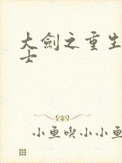 大剑之重生圣骑士