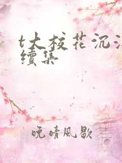 t大校花沉浮录续集