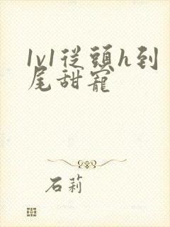 1v1从头h到尾甜宠