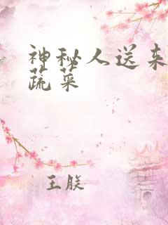 神秘人送来千斤蔬菜