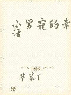 小男宠的幸福生活