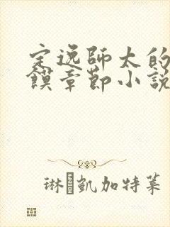 定逸师太的肉夹馍章节小说