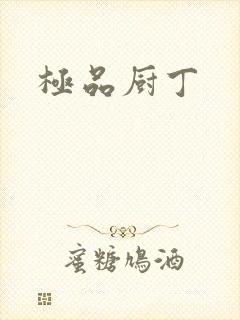 极品厨丁