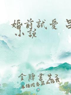 婚前试爱 吕颜 小说