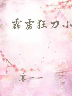 霹雳狂刀小说
