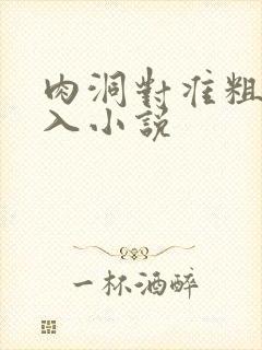 肉洞对准粗大坐入小说