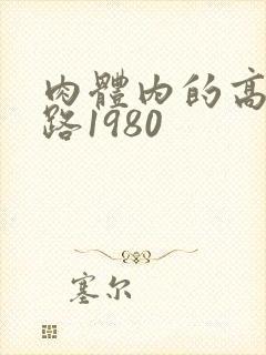 肉体内的高速公路1980