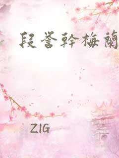 段誉干梅兰竹菊