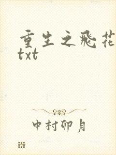 重生之飞花落照txt