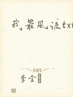 我最风流txt