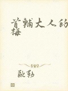 首辅大人的小青梅