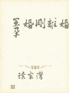 军婚刚离婚就怀孕