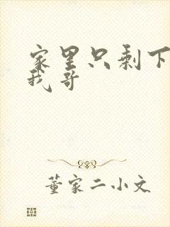 家里只剩下我和我哥