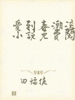 爱到春潮滚滚来小说免费阅读