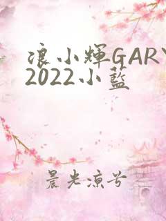 浪小辉GARY2022小蓝