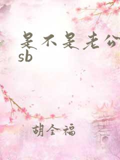是不是老公的小sb