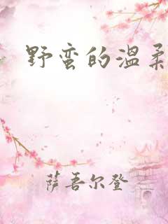 野蛮的温柔
