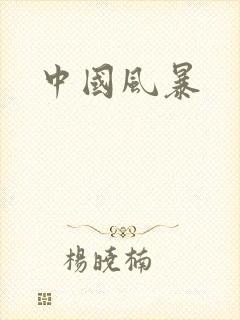 中国风暴