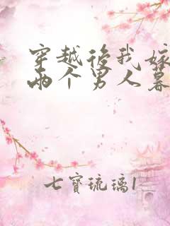 穿越后我嫁给了两个男人暮色酒歌