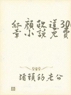 红颜政道300章小说免费阅读