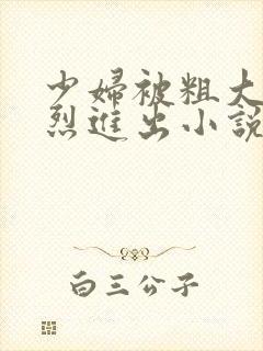 少妇被粗大的猛烈进出小说网