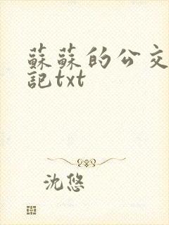 苏苏的公交车日记txt