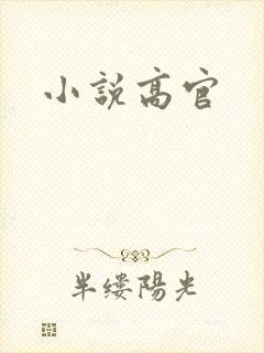 小说高官