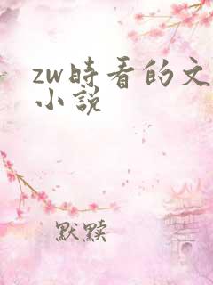 zw时看的文案小说