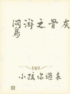 网游之骨灰级菜鸟