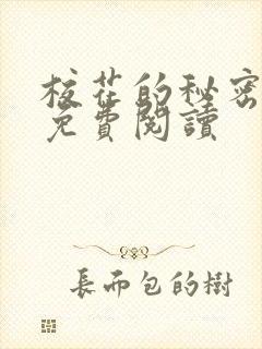 校花的秘密小说免费阅读