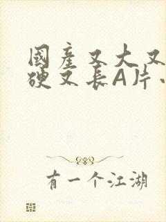 国产又大又粗又硬又长A片小说