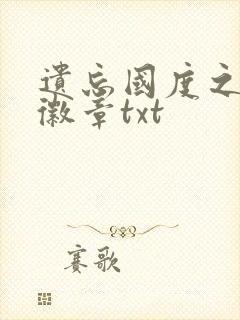 遗忘国度之神秘徽章txt