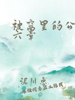 被窝里的公息十六章