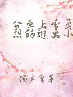 公车上雪柔被猛烈的进出小说