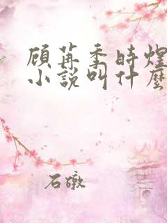 顾苒季时煜电竞小说叫什么名字