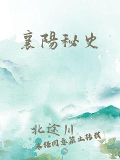 襄阳秘史