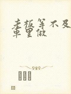 老板等不及了在车里做