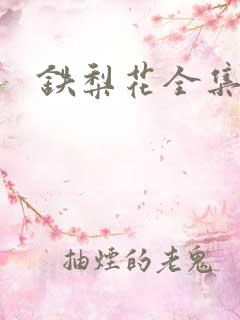 铁梨花全集下载